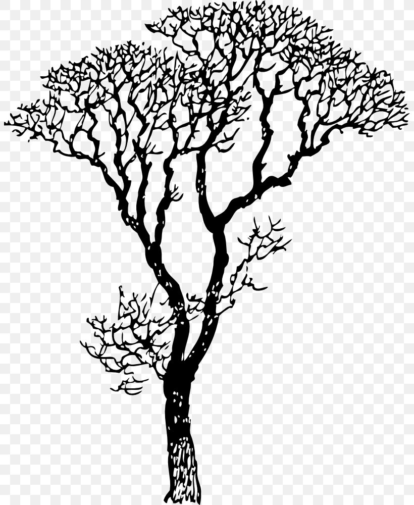 Wall Decal Sticker Tree, PNG, 804x1000px, Wall Decal, Black And White, Branch, Decal, Decorative Arts Download Free