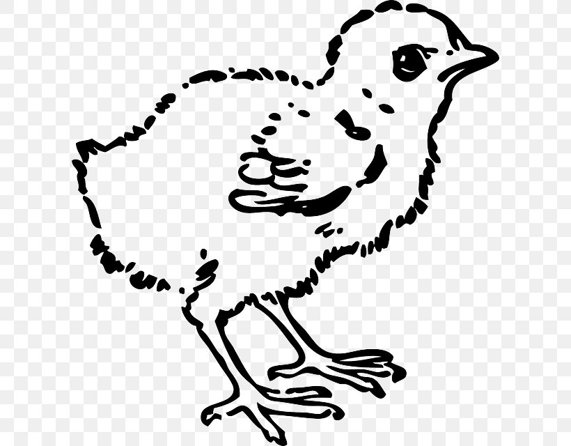 Chicken Kifaranga Clip Art, PNG, 614x640px, Chicken, Art, Artwork, Beak, Bird Download Free