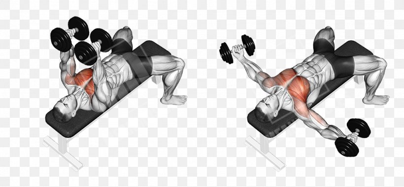 Fly Dumbbell Bench Press Exercise, PNG, 1024x477px, Watercolor, Cartoon, Flower, Frame, Heart Download Free