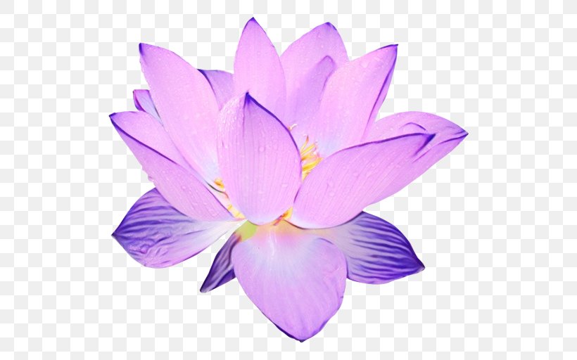 Lavender, PNG, 512x512px, Watercolor, Crocus, Flower, Flowering Plant, Lavender Download Free