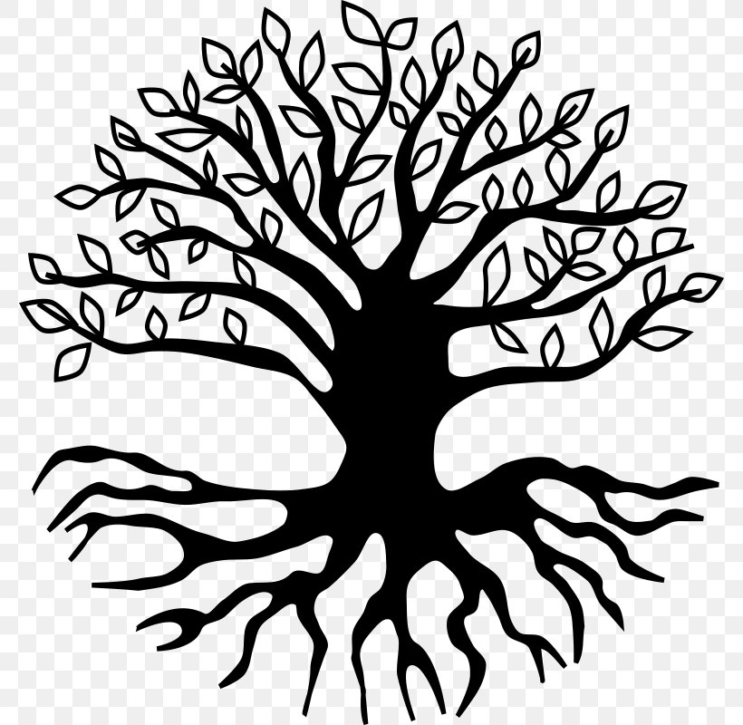 Root Tree Clip Art, PNG, 778x800px, Root, Artwork, Black And White, Branch, Drawing Download Free