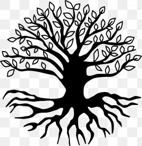 Root Tree Drawing, PNG, 1201x1201px, Root, Art, Black And White, Branch ...