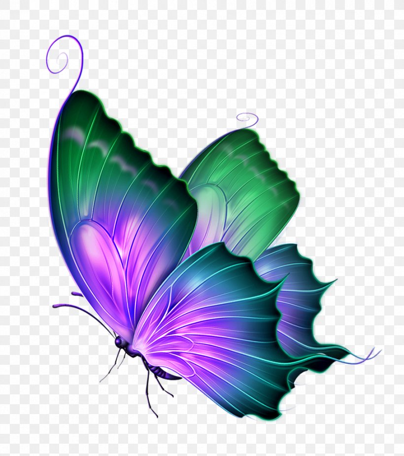 Butterfly Clip Art, PNG, 907x1024px, Watercolor, Cartoon, Flower, Frame, Heart Download Free