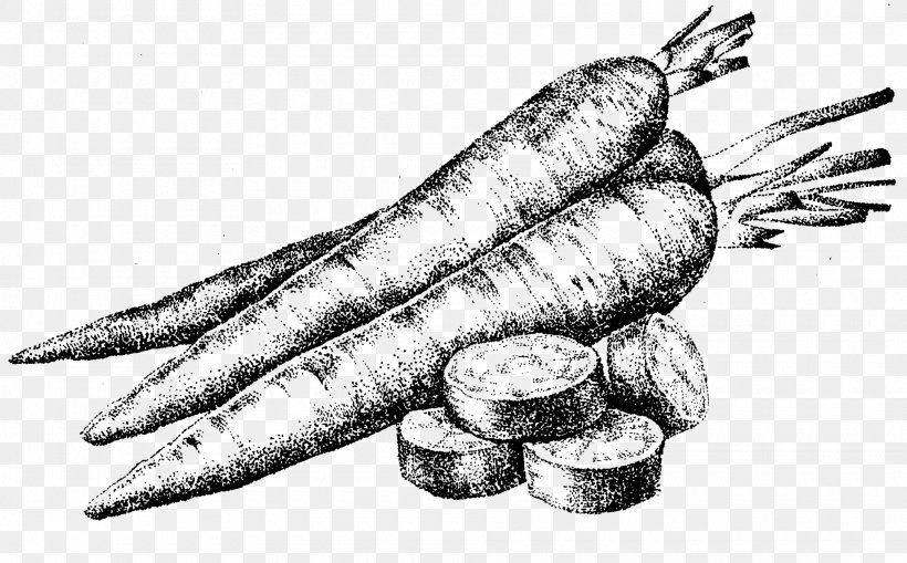 Carrot Cartoon, PNG, 1920x1193px, Drawing, Carrot, Claw, Finger, Gesture Download Free