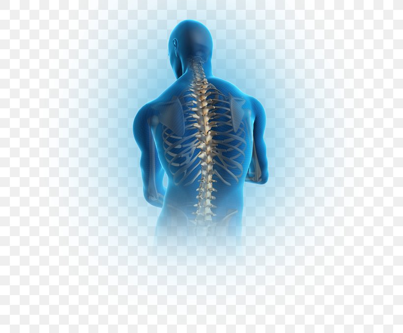 Pain In Spine Spinal Disc Herniation Vertebral Column Human Back Low Back Pain, PNG, 670x677px, Spinal Disc Herniation, Cervical Vertebrae, Degenerative Disc Disease, Disease, Human Back Download Free