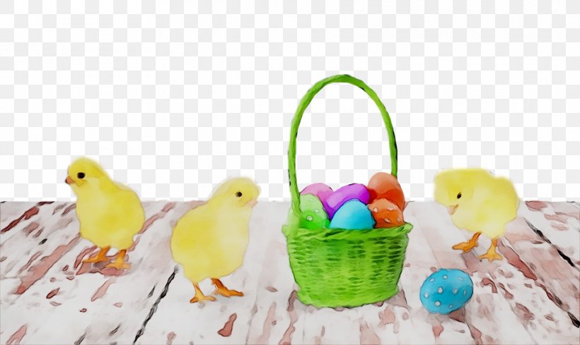Parakeet Easter Product Pet, PNG, 960x573px, Parakeet, Atlantic Canary, Beak, Bird, Bird Nest Download Free