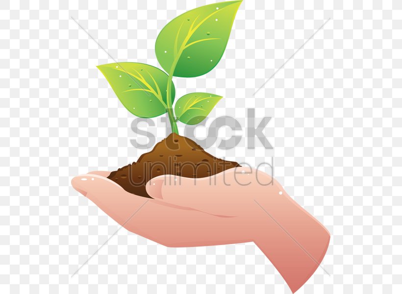 Plant Hand Soil Clip Art, PNG, 529x600px, Plant, Flower, Flowerpot, Hand, Leaf Download Free