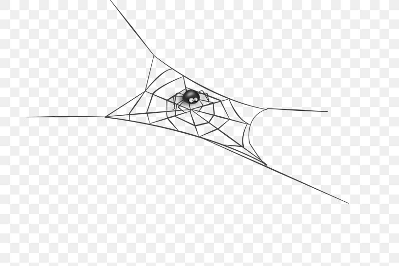 Spider Silk Insect Arthropod Spider Web, PNG, 800x547px, Spider, Arachne, Arachnid, Area, Arthropod Download Free