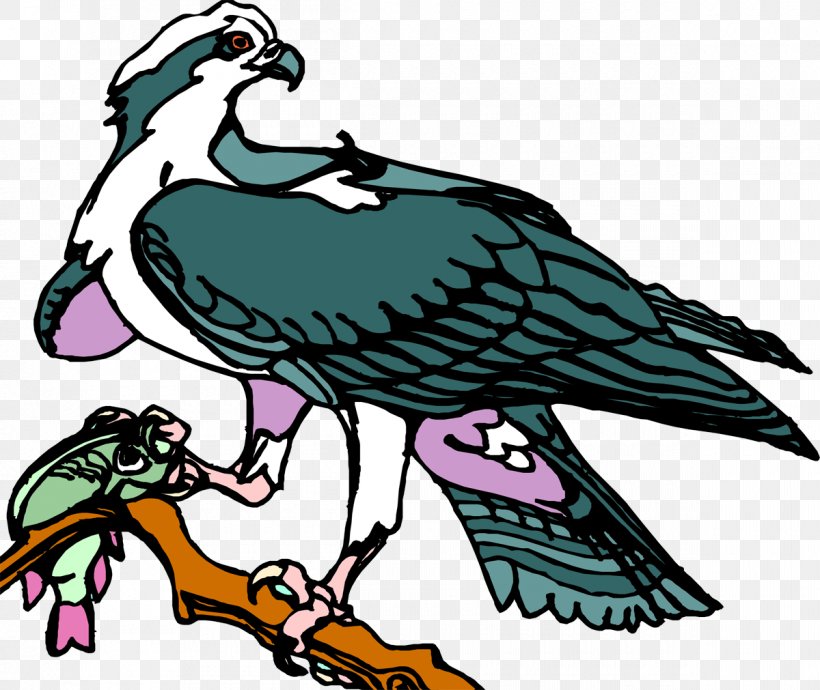 Bird Of Prey Beak Art, PNG, 1200x1011px, Bird, Art, Art Museum, Artwork, Beak Download Free