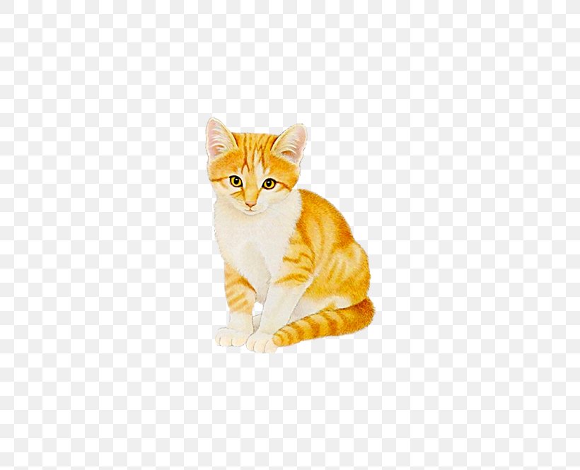 Cat Kitten Animation, PNG, 485x665px, Cat, American Wirehair, Animation, Carnivoran, Cartoon Download Free