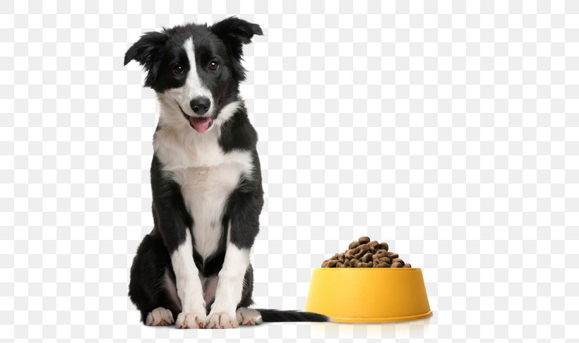 Dog Training Pet Dog-E-Clips Dog Crate, PNG, 600x486px, Dog, Animal, Animal Control And Welfare Service, Border Collie, Cat Download Free