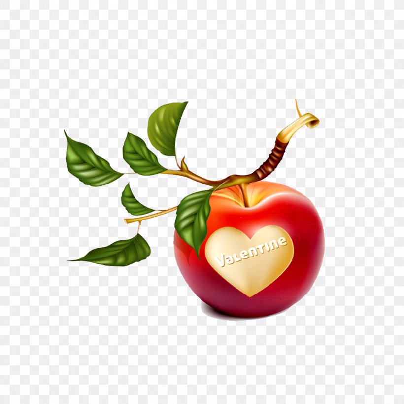 Apple Branch Clip Art, PNG, 2362x2362px, Apple, Branch, Diet Food, Food, Fruit Download Free