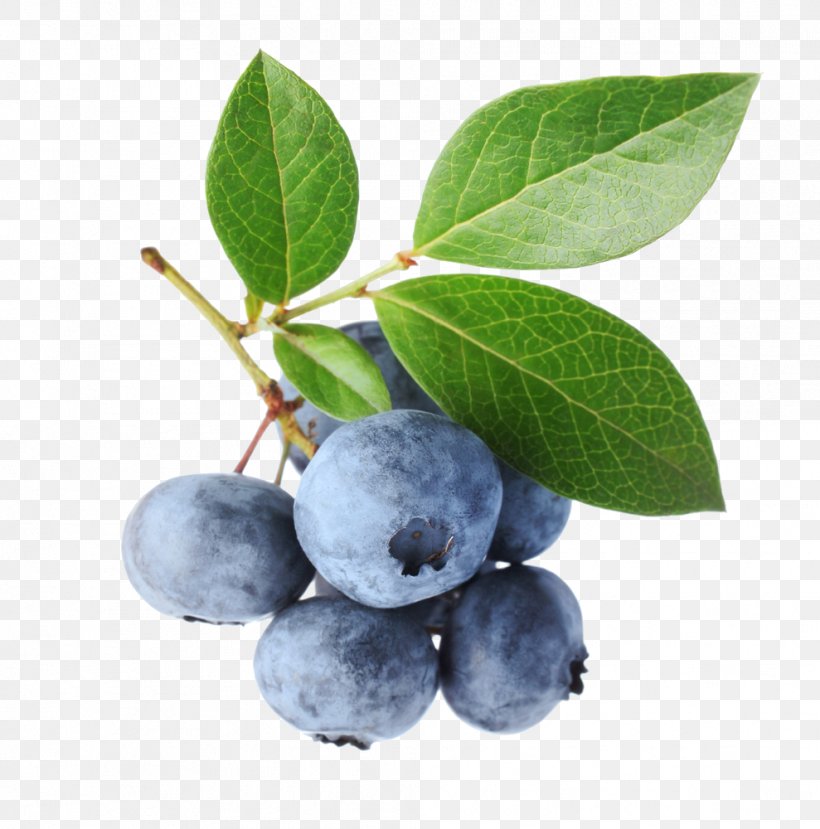 Blueberry Bilberry Stock Photography Fruit, PNG, 989x1000px, Blueberry, Aristotelia Chilensis, Berry, Bilberry, Blueberry Tea Download Free