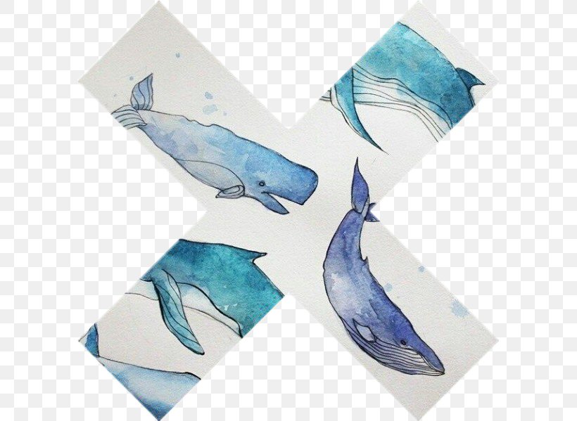 Dolphin Cetacea PicsArt Photo Studio Sticker Microsoft Azure, PNG, 599x599px, Dolphin, Cetacea, Fauna, Fin, Fish Download Free