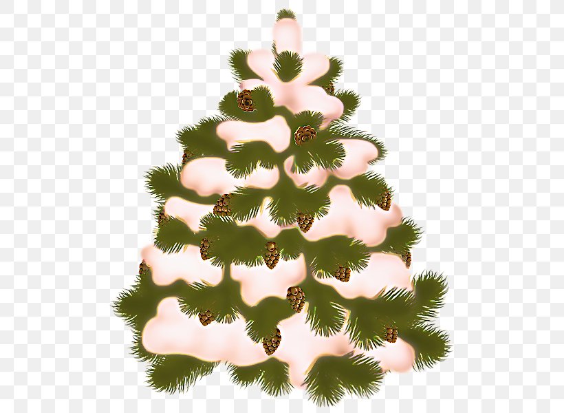 Christmas Tree, PNG, 511x600px, White Pine, Christmas Decoration, Christmas Tree, Colorado Spruce, Holiday Ornament Download Free