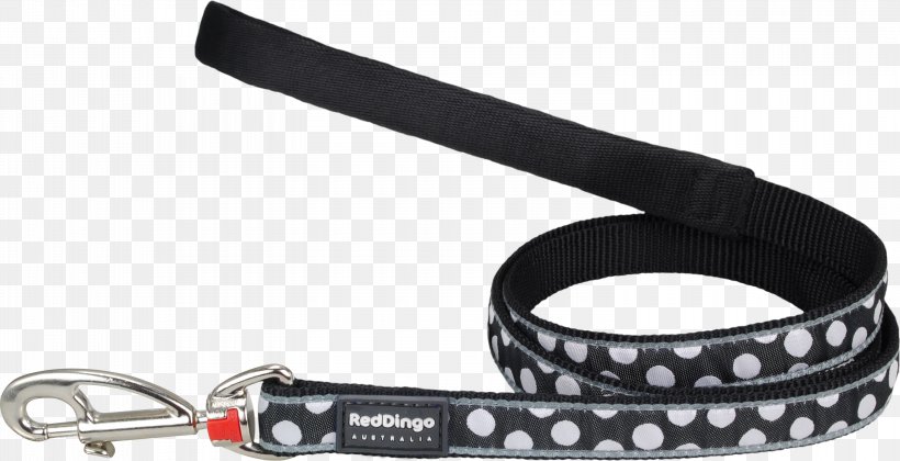 Dingo Cat Leash Rhodesian Ridgeback Pet, PNG, 3000x1540px, Dingo, Auto Part, Cat, Collar, Dog Download Free