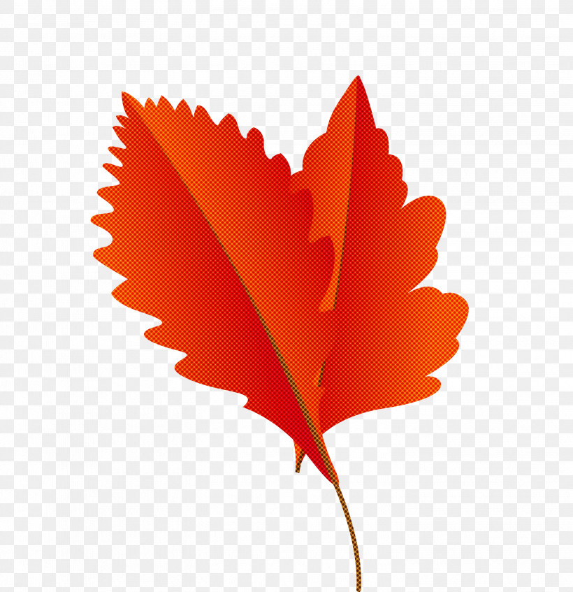 Fruit Tree, PNG, 2904x3000px, Autumn Leaf, Autumn Leaf Color, Birch, Cartoon Leaf, Fall Leaf Download Free