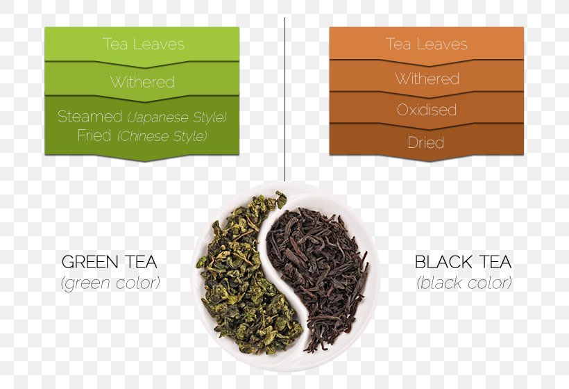 Green Tea Tea Leaf Grading Oolong White Tea, PNG, 760x560px, Tea, Assam Tea, Black Tea, Brand, Camellia Sinensis Download Free
