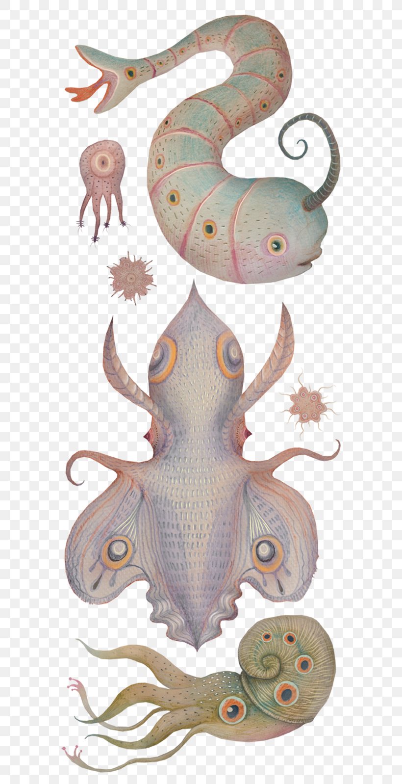 Octopus Squid Cephalopod Narwhal, PNG, 570x1598px, Octopus, Animal, Aquatic Animal, Art, Cephalopod Download Free