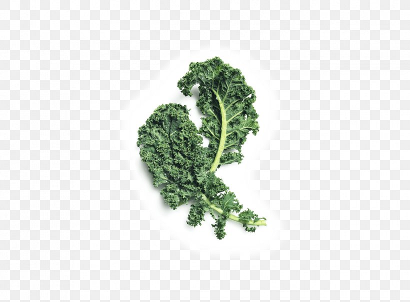 Smoothie Lacinato Kale Cabbage Cauliflower Leaf Vegetable, PNG, 1425x1050px, Smoothie, Brassica Oleracea, Cabbage, Cabbage Family, Cauliflower Download Free