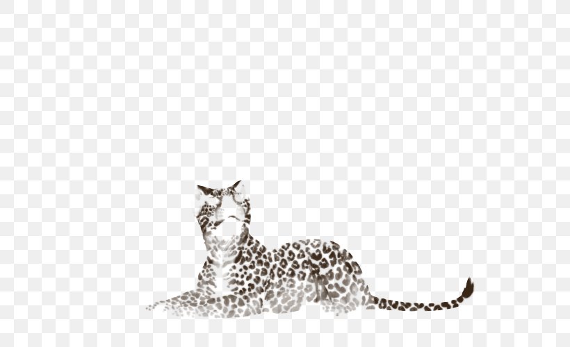 Whiskers Cat Puma Terrestrial Animal White, PNG, 640x500px, Whiskers, Animal, Big Cat, Big Cats, Black And White Download Free