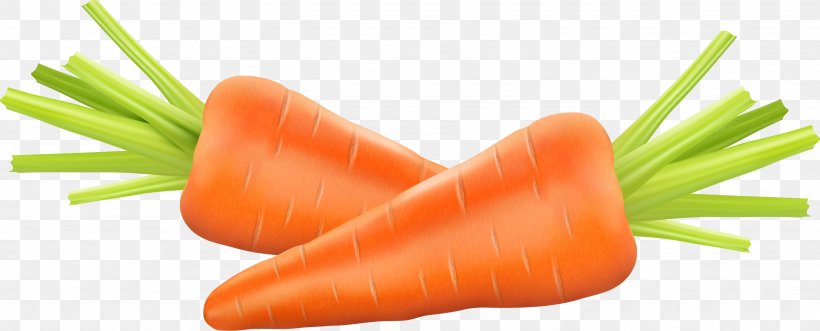 Carrot Photography Euclidean Vector Clip Art, PNG, 2744x1108px, Carrot, Baby Carrot, Diet Food, Food, Mirepoix Download Free