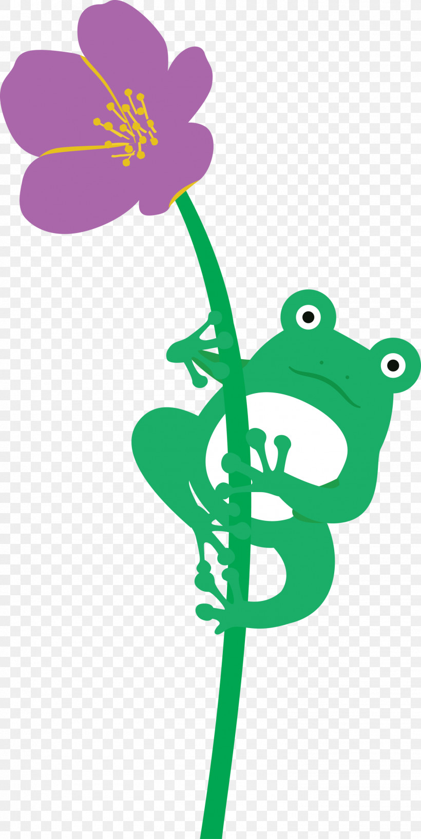 Flower Plant Stem Frogs Leaf Cartoon, PNG, 1504x2999px, Frog, Cartoon, Flower, Frogs, Leaf Download Free