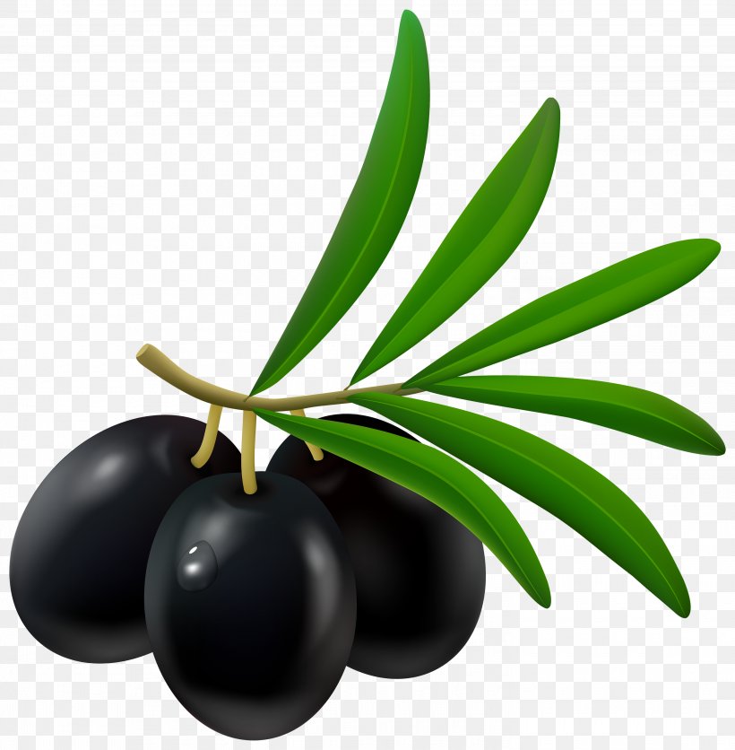 Olive Greek Cuisine Clip Art, PNG, 2940x3000px, Kalamata Olive, Balsamic Vinegar, Food, Fruit, Oil Download Free