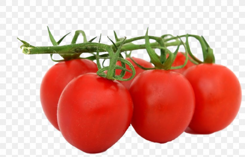 Plum Tomato Organic Food Bush Tomato Refried Beans, PNG, 2552x1643px, Plum Tomato, Bush Tomato, Cherry, Cooking, Diet Food Download Free