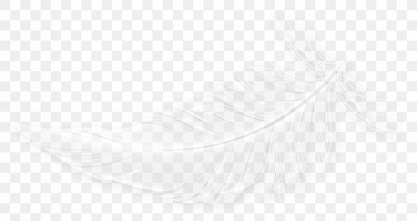White Feather Line, PNG, 956x508px, White, Black And White, Eyelash, Feather, Neck Download Free