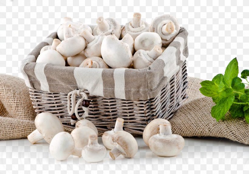 Edible Mushroom Ingredient Photography, PNG, 1000x698px, Mushroom, Basket, Calocybe Gambosa, Edible Mushroom, Food Download Free