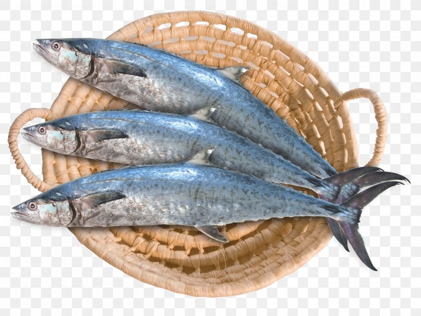 Saudi Arabia Bahrain Saudi Fisheries Narrow-barred Spanish Mackerel, PNG, 2000x1500px, Saudi Arabia, Anchovy, Animal Source Foods, Bahrain, Bony Fish Download Free