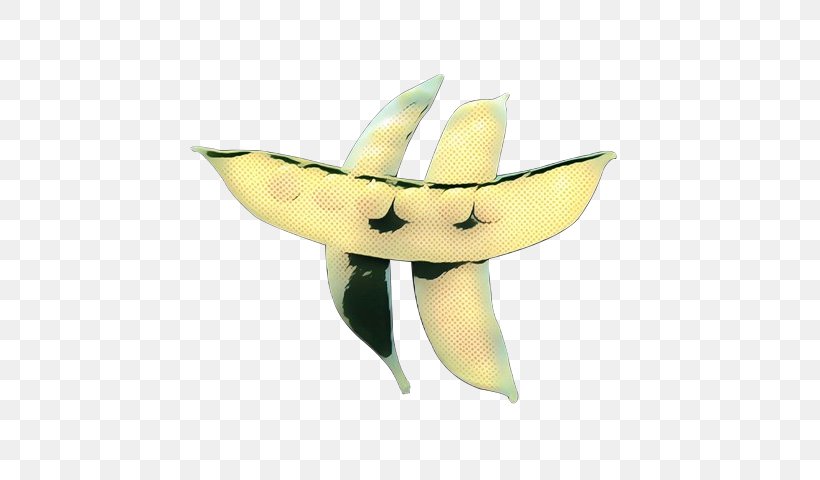 Vintage Flower, PNG, 623x480px, Pop Art, Banana, Banana Family, Flower, Food Download Free