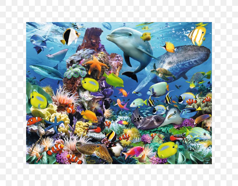 Jigsaw Puzzles Ravensburger Puzzle Video Game Melissa & Doug Shut-the-Box, PNG, 640x640px, Jigsaw Puzzles, Aquarium, Aquarium Decor, Coral, Coral Reef Download Free