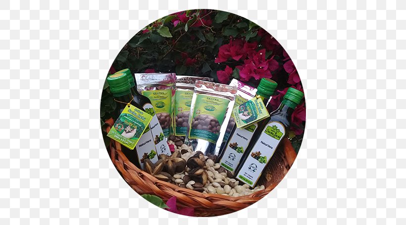 Plukenetia Volubilis Food Gift Baskets Miraflores, Boyacá Oil, PNG, 652x454px, Plukenetia Volubilis, Auglis, Basket, Crop, Finca Download Free