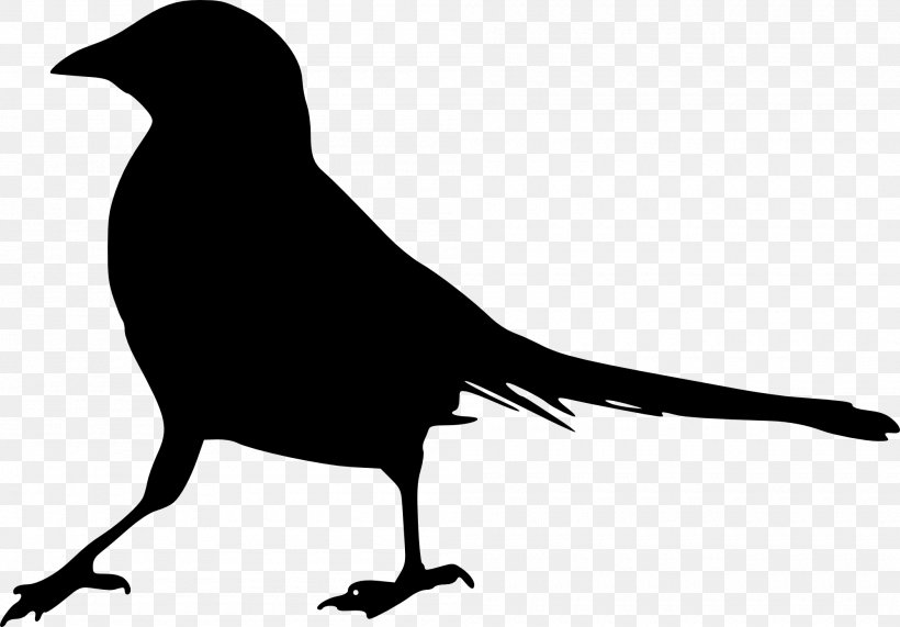 Bird Silhouette Clip Art, PNG, 2000x1394px, Bird, Beak, Bird Of Prey, Black And White, Common Blackbird Download Free