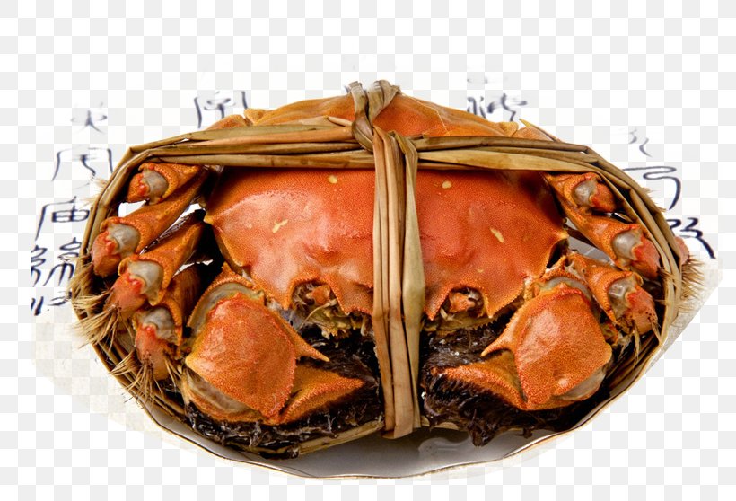 Giant Mud Crab Eating Autumn Food, PNG, 790x558px, Crab, Allium Fistulosum, Animal Source Foods, Autumn, Chinese Mitten Crab Download Free