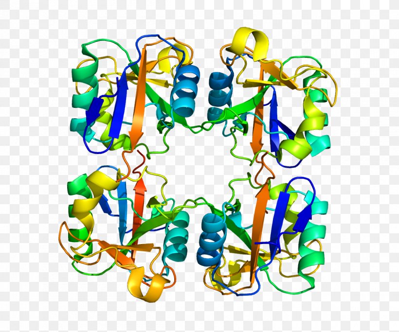 Langerin Protein C-type Lectin Langerhans Cell, PNG, 1200x1000px, Protein, Area, Body Jewelry, Cell, Cluster Of Differentiation Download Free