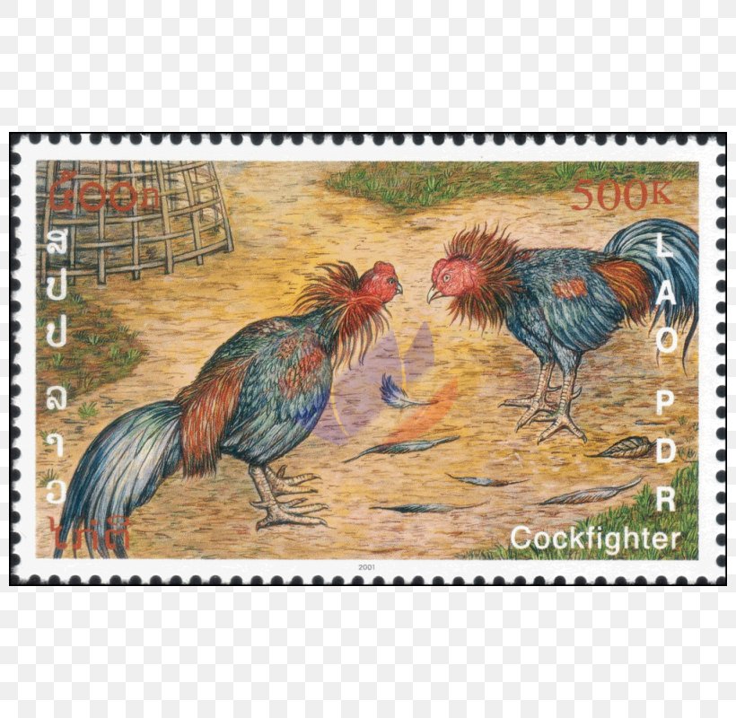 Rooster Fauna Beak Feather Chicken As Food, PNG, 800x800px, Rooster, Beak, Bird, Chicken, Chicken As Food Download Free