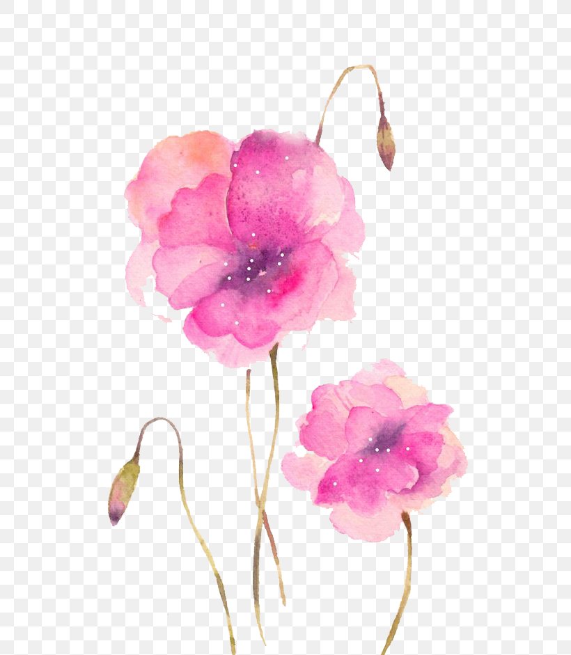 Watercolour Flowers Watercolor Painting Samsung Galaxy S6, PNG, 658x941px, Watercolour Flowers, Blossom, Color, Cut Flowers, Floral Design Download Free