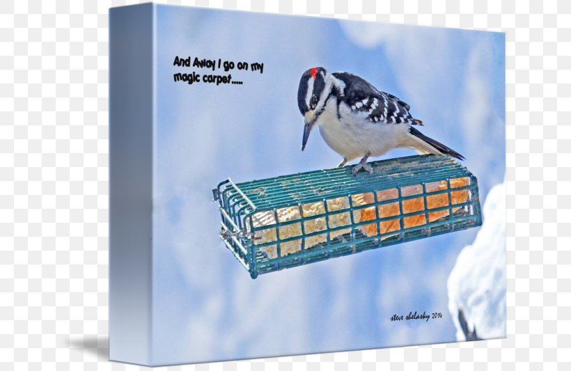Advertising Flightless Bird Beak, PNG, 650x533px, Advertising, Beak, Bird, Fauna, Flightless Bird Download Free