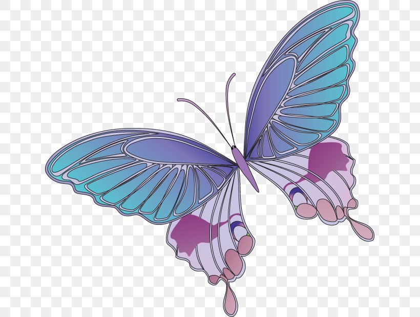 Butterfly Art Clip Art, PNG, 643x619px, Butterfly, Art, Art Museum, Arthropod, Blue Download Free