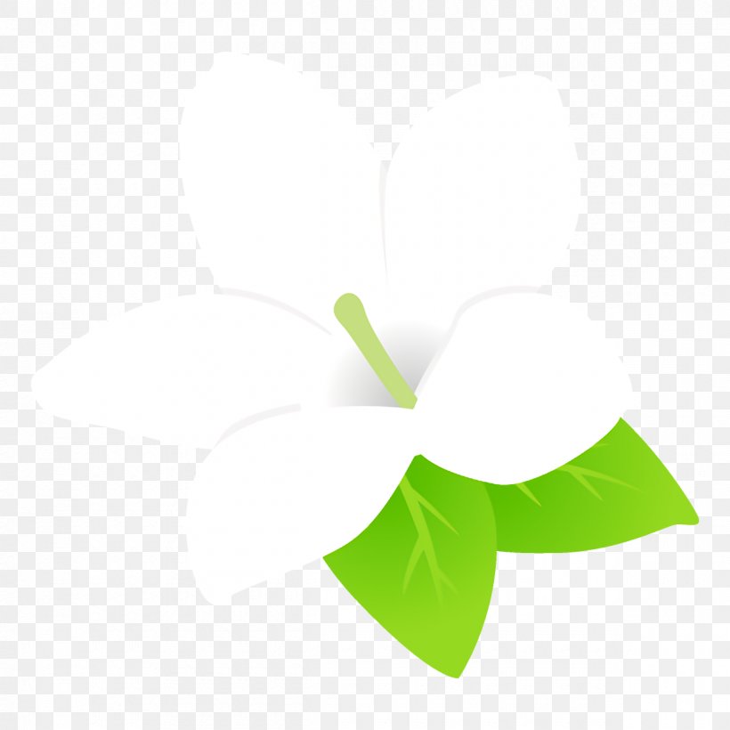 Green Leaf White Plant Line, PNG, 1200x1200px, Green, Anthurium, Flower, Leaf, Logo Download Free