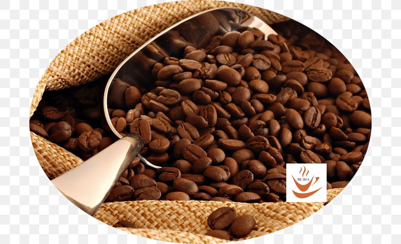Java Coffee Arabica Coffee Coffee Bean Tea, PNG, 700x500px, Coffee, Arabica Coffee, Bean, Caffeine, Coffea Download Free