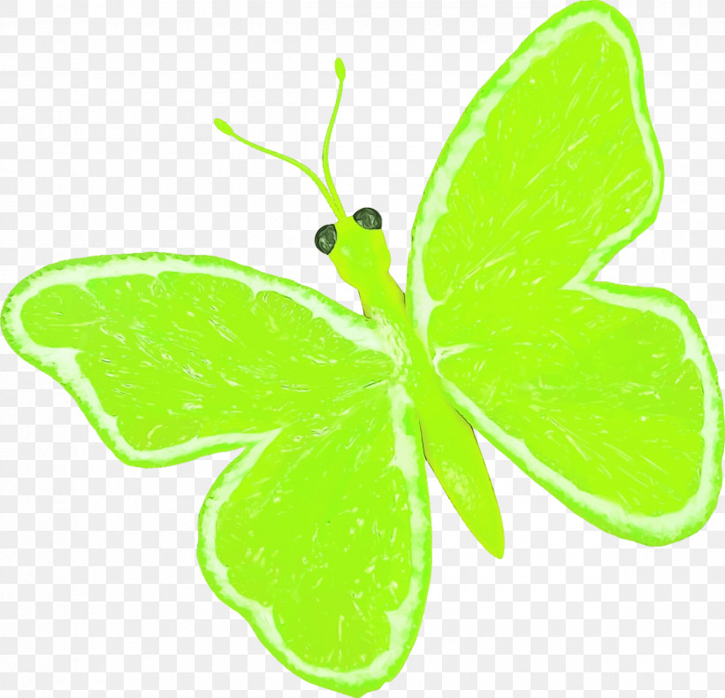 Leaf Plant Stem Butterflies Brush-footed Butterflies Green, PNG, 2400x2312px, Watercolor, Brushfooted Butterflies, Butterflies, Green, Leaf Download Free