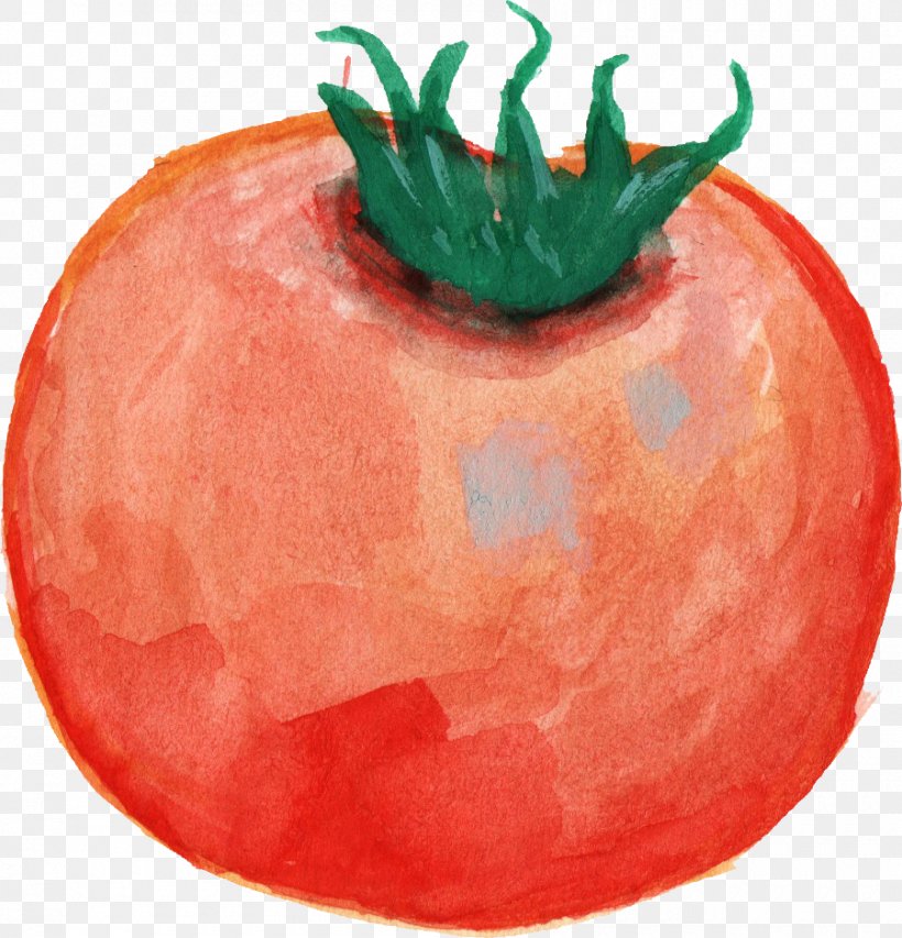 Tomato Vegetable Food Watercolor Painting, PNG, 900x937px, Tomato, Apple, Food, Food Spoilage, Fruit Download Free