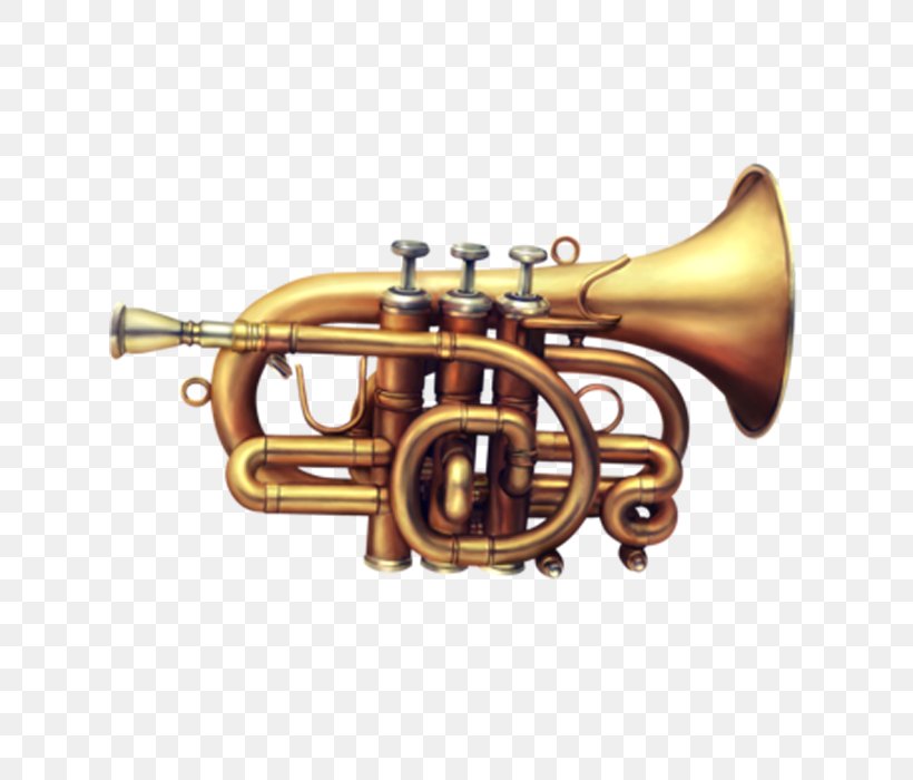 Cornet Musical Instrument Sones De Pasixf3n Wind Instrument Trumpet, PNG, 700x700px, Watercolor, Cartoon, Flower, Frame, Heart Download Free