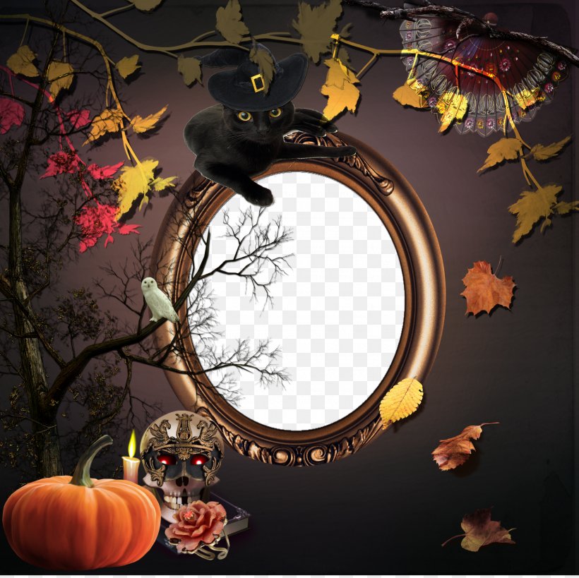 Halloween Photo Editor, PNG, 1600x1600px, Halloween, Android, Decor, Halloween Film Series, Holiday Download Free