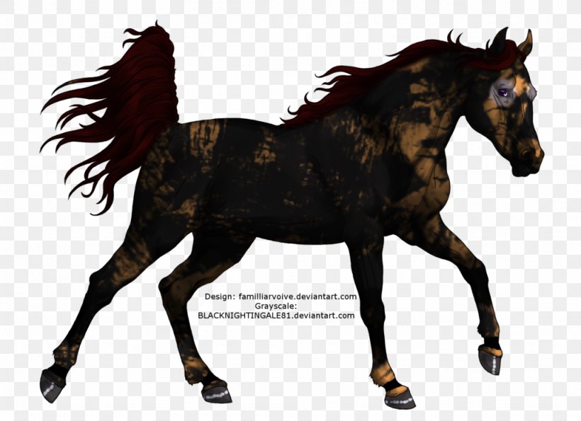 Mustang Pony Mare Colt Stallion, PNG, 1024x744px, Mustang, Arabian Horse, Black, Bridle, Colt Download Free