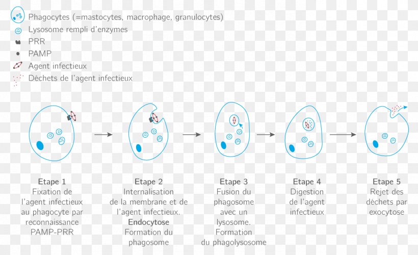 Brand Technology, PNG, 1388x848px, Brand, Area, Diagram, Microsoft Azure, Technology Download Free